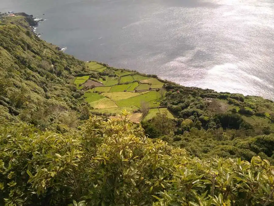 Ilha das Flores