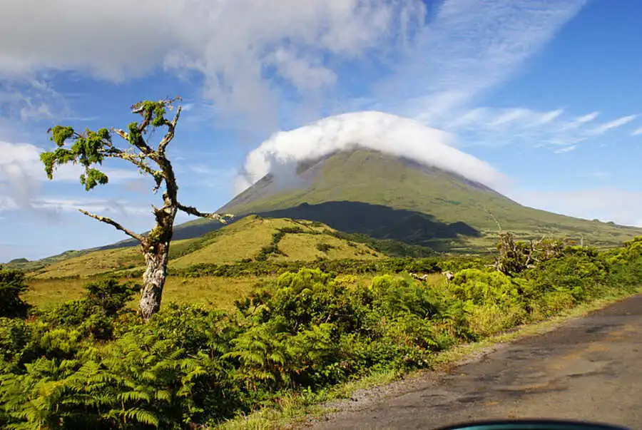 Ilha do Pico